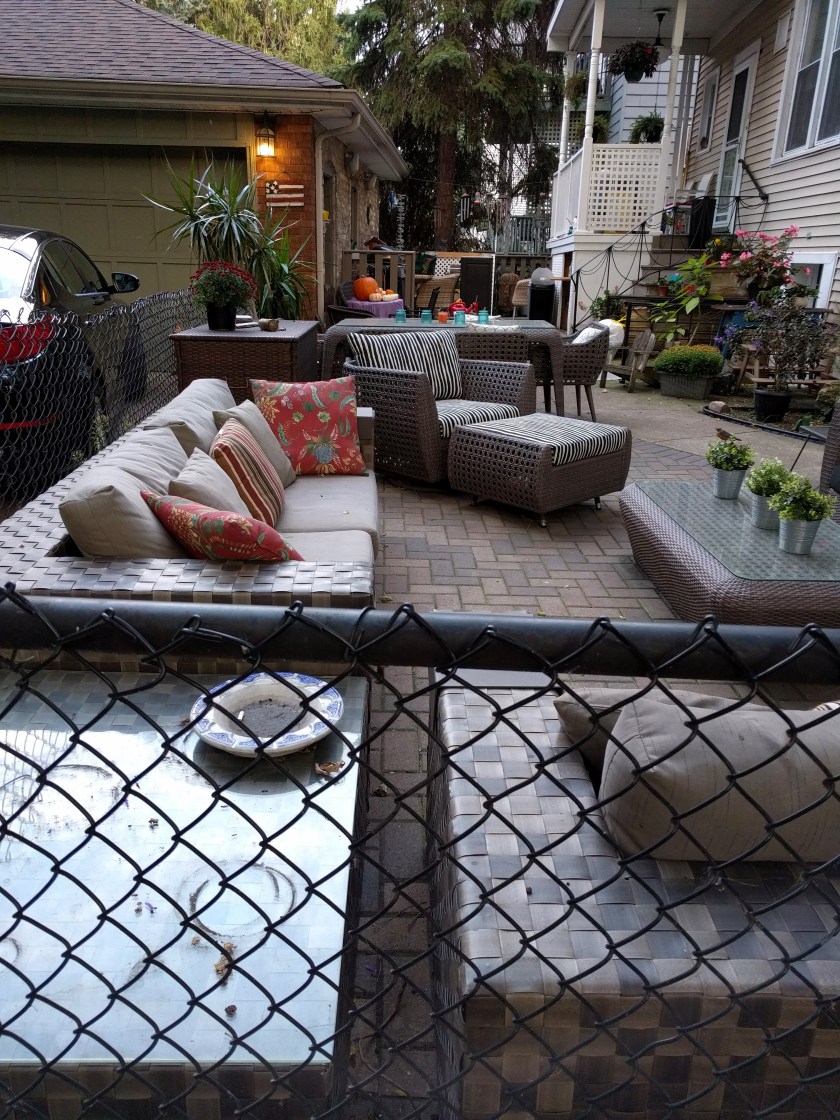 RP backyard for blog.jpg