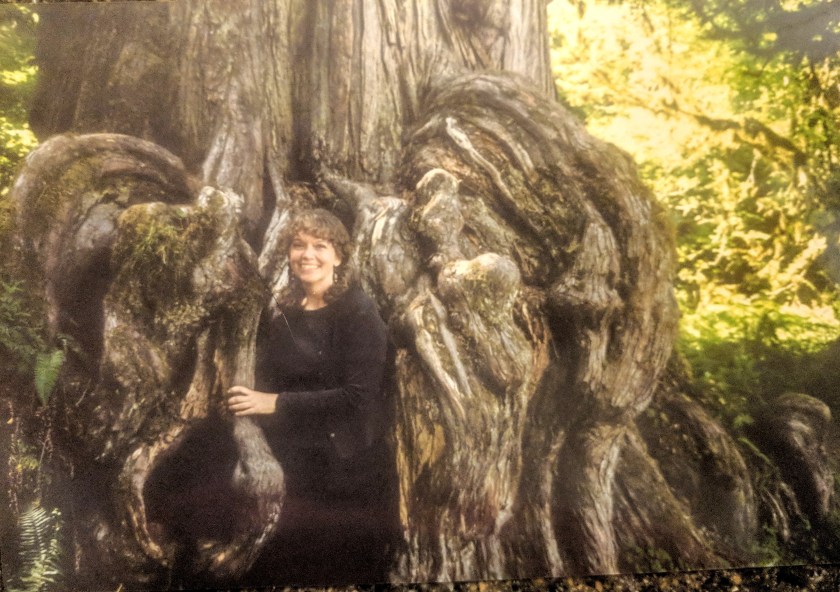 in tree roots 2000.jpg