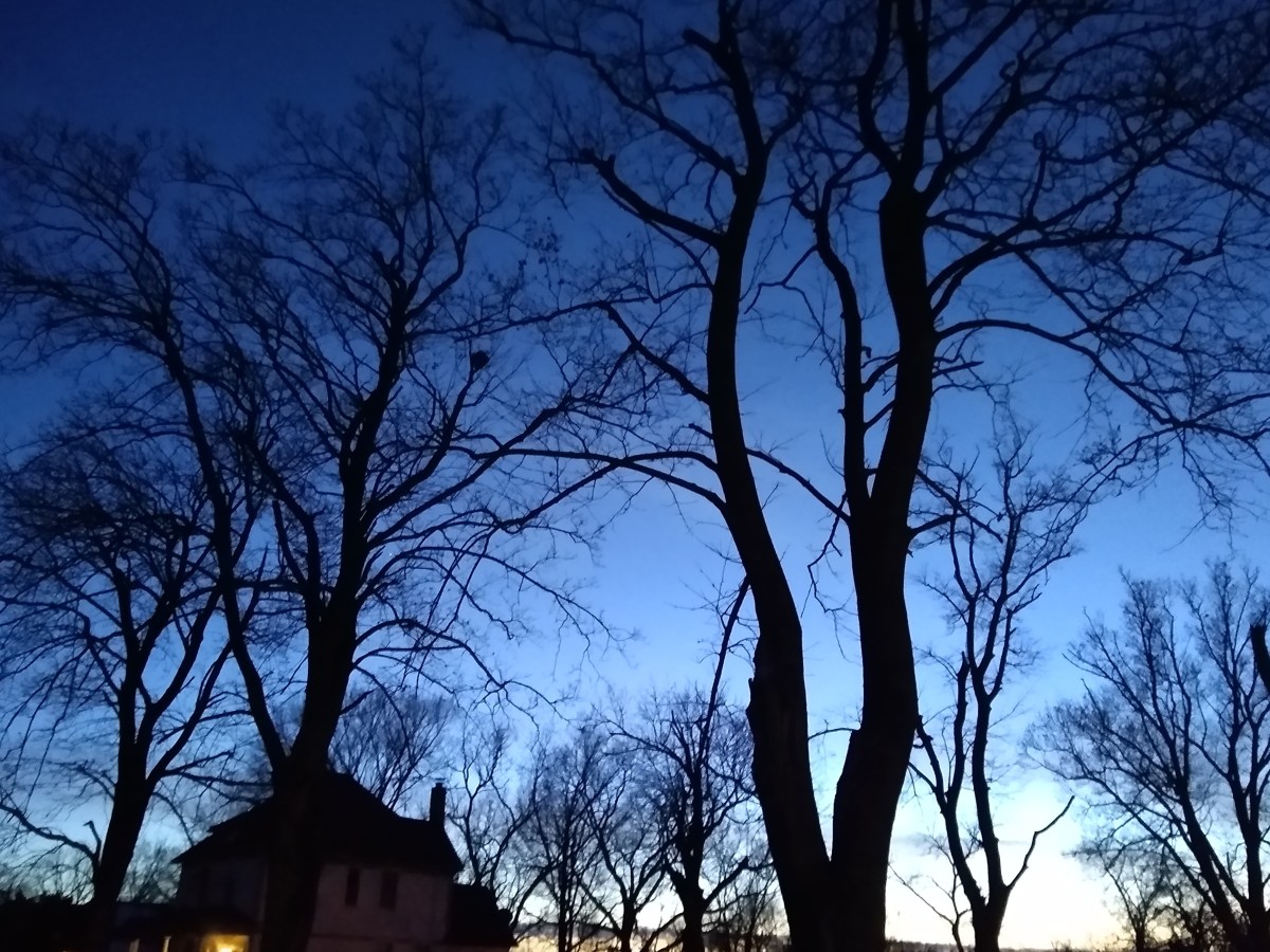 Of heartache & antiviral&nbsp;walks